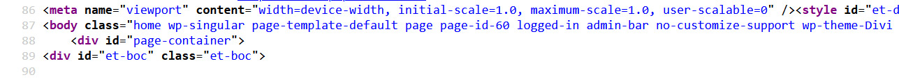 Divi Viewport-Meta-Tag mit deaktivierter Zoomfunktion
