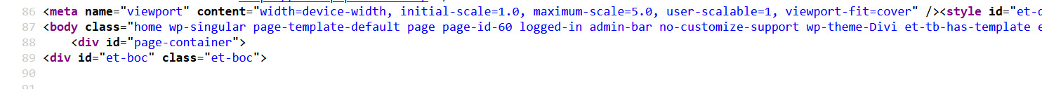 Viewport-Meta-Tag nach dem Divi-Zoom-Fix